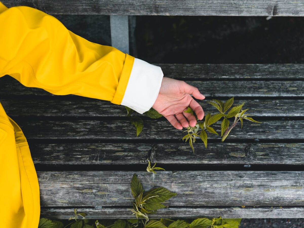 Hand in yellow coat touching foliage on wooden bench, top view perspective.